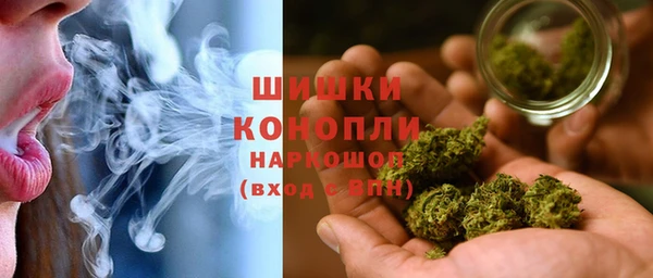 молекула духа Богородицк
