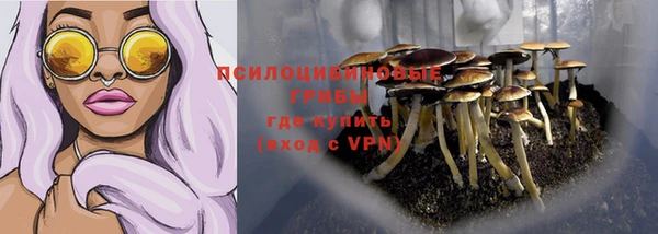 дживик Архангельск