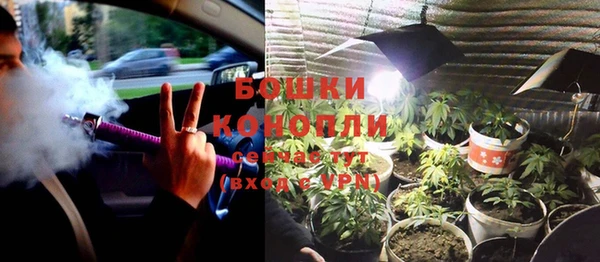 прущие крисы Бугульма
