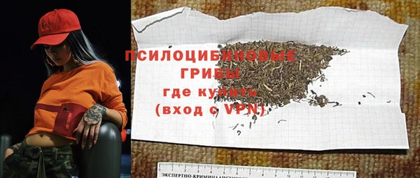 амф Богородск